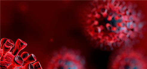 Investor Attention Turns to Biotech as Traditional Cancer Research Models Strain